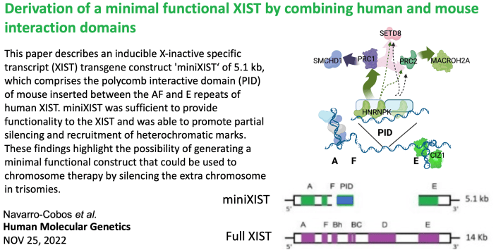 Screenshot 2023-06-08 at 7.13.38 AM