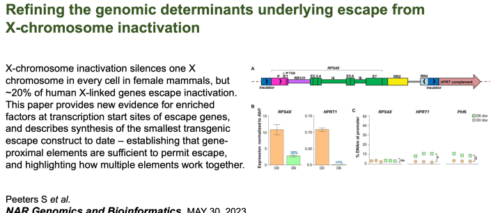 Screenshot 2023-06-08 at 7.49.55 AM